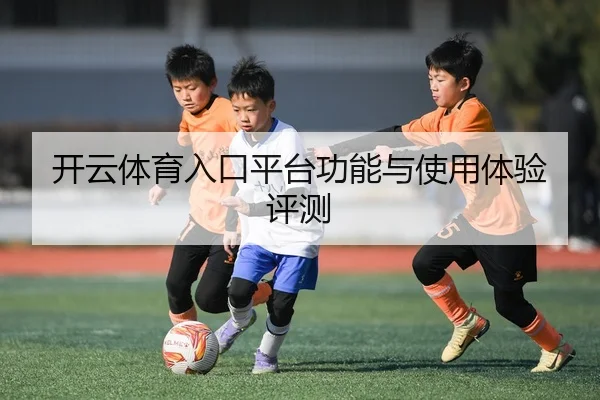 开云体育入口平台功能与使用体验评测
