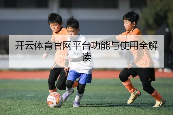 开云体育官网平台功能与使用全解读