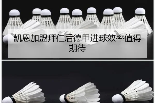 凯恩加盟拜仁后德甲进球效率值得期待
